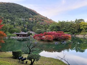 2022年11月の日記