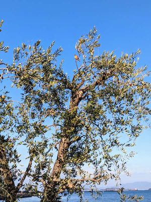 2023年1月の日記