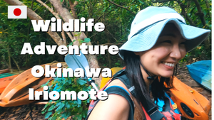 Vlog: Iriomote Island Adventure
