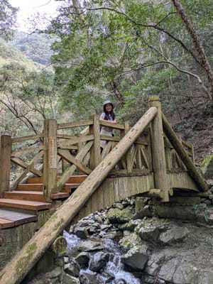 2025年3月の日記