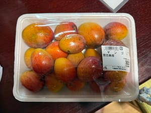 Travel Priorities: Why Food Comes First in Japan #275