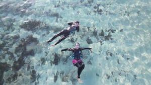 2025年6月の日記